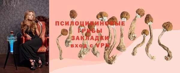соль ск Аркадак