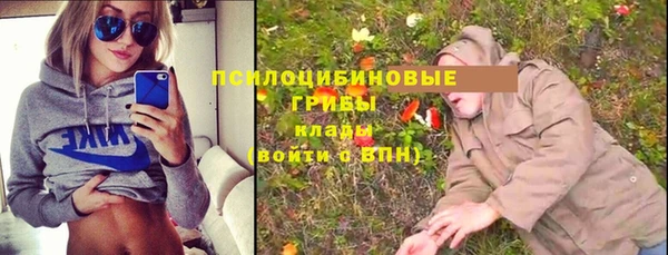 соль ск Аркадак